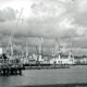Industrial port with cranes under cloudy sky